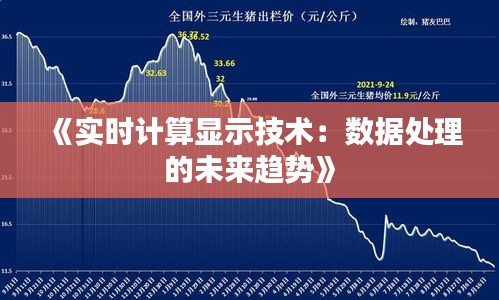 《實(shí)時(shí)計(jì)算顯示技術(shù)：數(shù)據(jù)處理的未來趨勢》