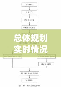 總體規(guī)劃實(shí)時情況說明書：全面解析與前瞻