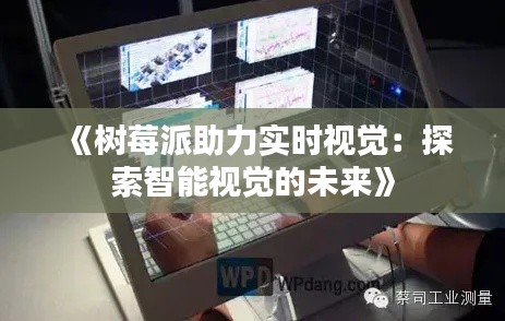 《樹莓派助力實時視覺：探索智能視覺的未來》