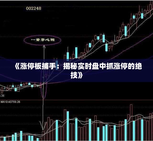 《漲停板捕手：揭秘實時盤中抓漲停的絕技》