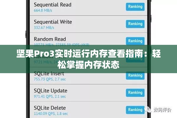 堅(jiān)果Pro3實(shí)時(shí)運(yùn)行內(nèi)存查看指南：輕松掌握內(nèi)存狀態(tài)