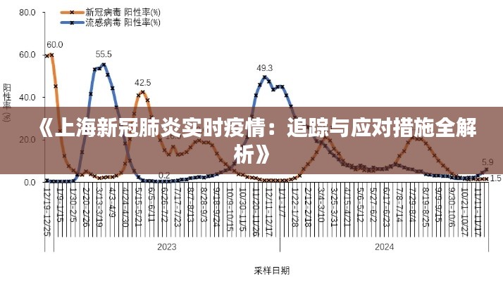 《上海新冠肺炎實(shí)時(shí)疫情：追蹤與應(yīng)對(duì)措施全解析》