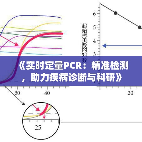 《實(shí)時(shí)定量PCR：精準(zhǔn)檢測(cè)，助力疾病診斷與科研》