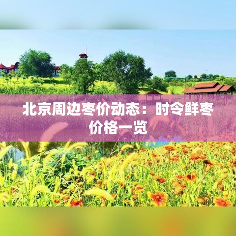 北京周邊棗價動態(tài)：時令鮮棗價格一覽