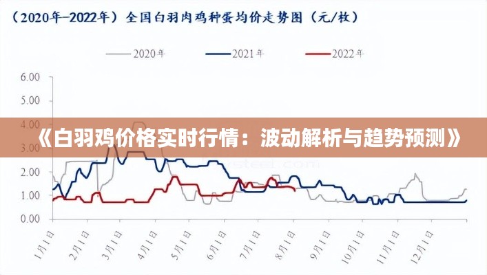 《白羽雞價(jià)格實(shí)時(shí)行情：波動(dòng)解析與趨勢(shì)預(yù)測(cè)》