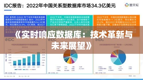 《實時響應數(shù)據(jù)庫：技術革新與未來展望》