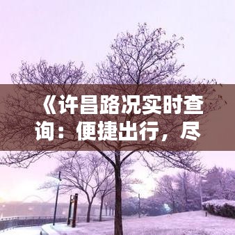 《許昌路況實(shí)時查詢：便捷出行，盡在掌握》