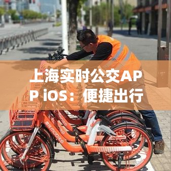 上海實時公交APP iOS：便捷出行，智慧生活新體驗