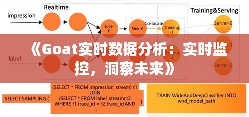 《Goat實時數(shù)據(jù)分析：實時監(jiān)控，洞察未來》