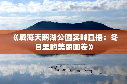 《威海天鵝湖公園實(shí)時直播：冬日里的美麗畫卷》