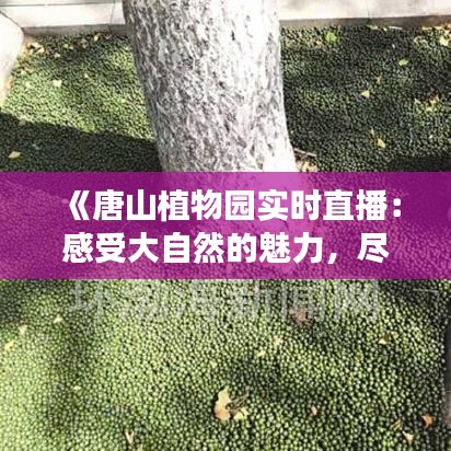 《唐山植物園實(shí)時直播：感受大自然的魅力，盡享生態(tài)之美》