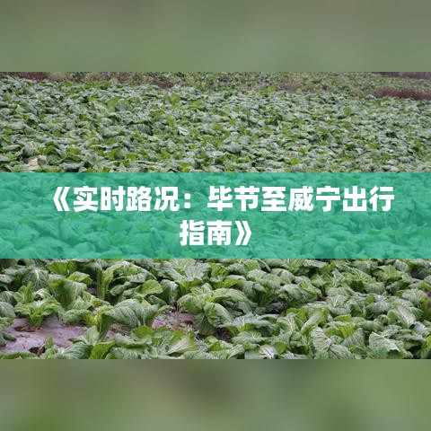 《實時路況：畢節(jié)至威寧出行指南》