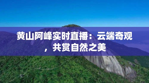 黃山阿峰實(shí)時(shí)直播：云端奇觀，共賞自然之美