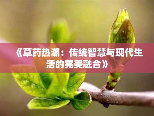 《草藥熱潮：傳統(tǒng)智慧與現(xiàn)代生活的完美融合》