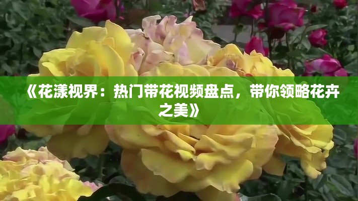 《花漾視界：熱門帶花視頻盤點，帶你領(lǐng)略花卉之美》