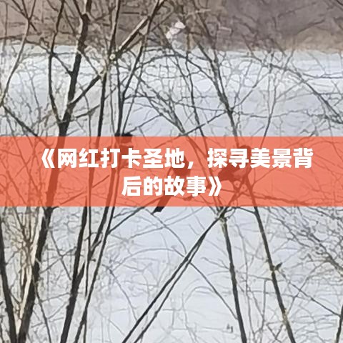 《網(wǎng)紅打卡圣地，探尋美景背后的故事》