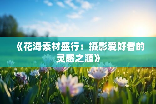 《花海素材盛行：攝影愛(ài)好者的靈感之源》