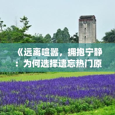 《遠離喧囂，擁抱寧靜：為何選擇遺忘熱門原聲》