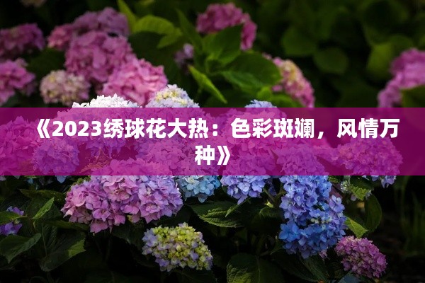 《2023繡球花大熱：色彩斑斕，風(fēng)情萬種》