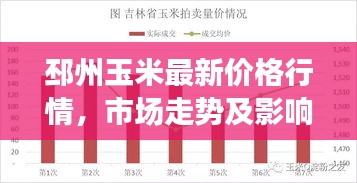 邳州玉米最新價格行情，市場走勢及影響因素深度解析