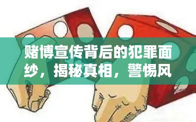 賭博宣傳背后的犯罪面紗，揭秘真相，警惕風(fēng)險！