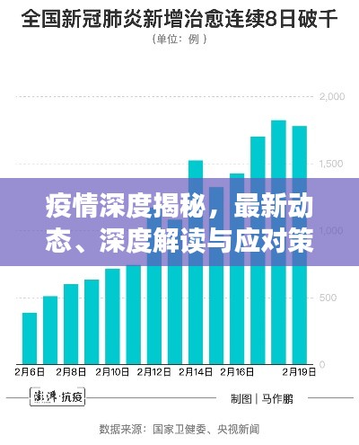 疫情深度揭秘，最新動態(tài)、深度解讀與應(yīng)對策略