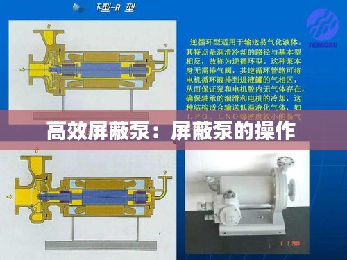 高效屏蔽泵：屏蔽泵的操作 