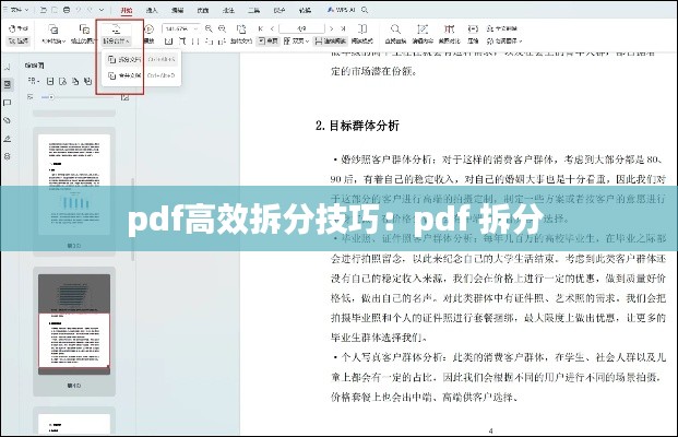 pdf高效拆分技巧：pdf 拆分 