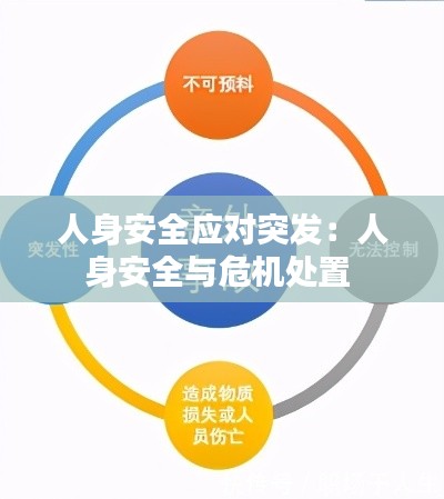 人身安全應(yīng)對(duì)突發(fā)：人身安全與危機(jī)處置 