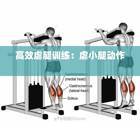 高效虐腿訓練：虐小腿動作 