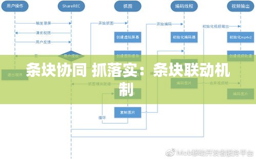 條塊協(xié)同 抓落實：條塊聯(lián)動機制 