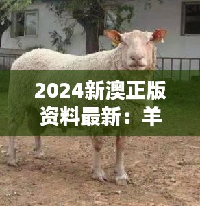 2024新澳正版資料最新：羊、牛、狗、蛇，免費資料