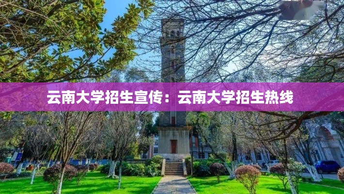 云南大學(xué)招生宣傳：云南大學(xué)招生熱線 