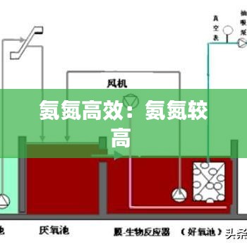 氨氮高效：氨氮較高 