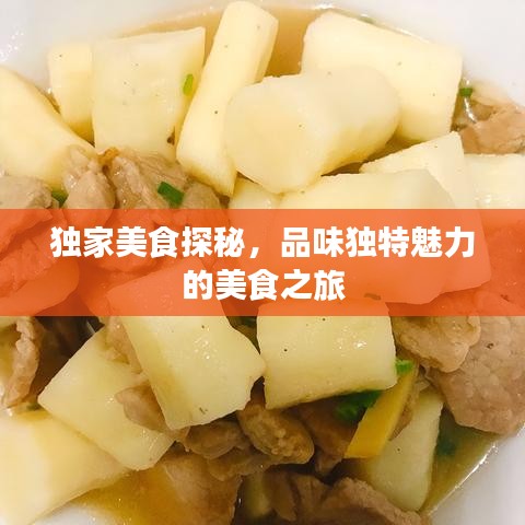 獨(dú)家美食探秘，品味獨(dú)特魅力的美食之旅