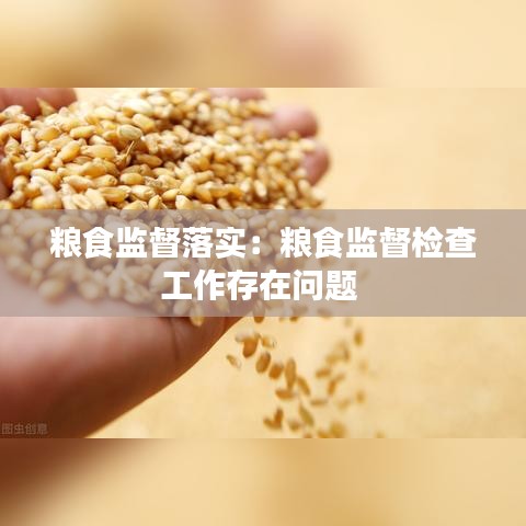 糧食監(jiān)督落實(shí)：糧食監(jiān)督檢查工作存在問題 