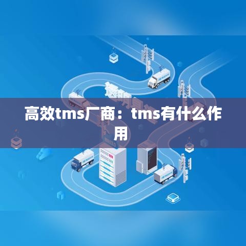 高效tms廠商：tms有什么作用 