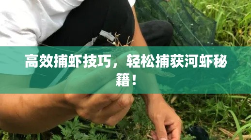 高效捕蝦技巧，輕松捕獲河蝦秘籍！