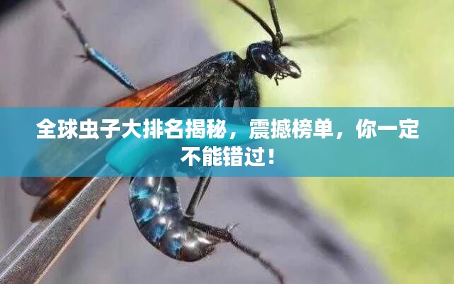 全球蟲子大排名揭秘，震撼榜單，你一定不能錯過！