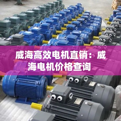 威海高效電機直銷：威海電機價格查詢 