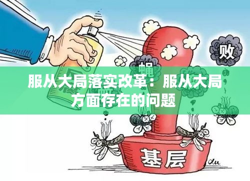 服從大局落實(shí)改革：服從大局方面存在的問題 