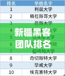 新疆黑客團(tuán)隊(duì)排名揭秘，TOP 10榜單重磅出爐！