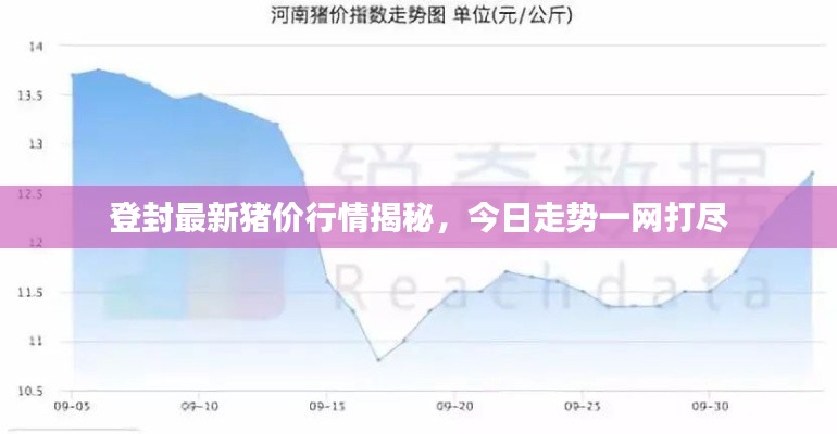 登封最新豬價行情揭秘，今日走勢一網(wǎng)打盡