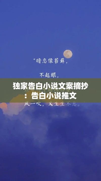 獨家告白小說文案摘抄：告白小說推文 