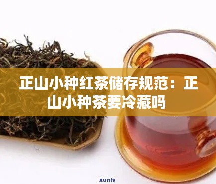 正山小種紅茶儲存規(guī)范：正山小種茶要冷藏嗎 