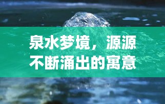 泉水夢(mèng)境，源源不斷涌出的寓意與啟示