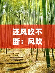 還風(fēng)吹不斷：風(fēng)吹不斷竹子 