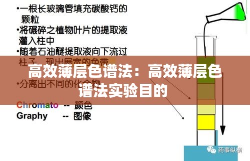 公司動(dòng)態(tài) 第6頁