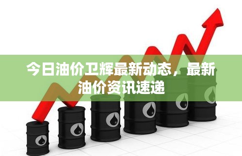 今日油價衛(wèi)輝最新動態(tài)，最新油價資訊速遞