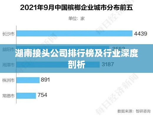 湖南接頭公司排行榜及行業(yè)深度剖析